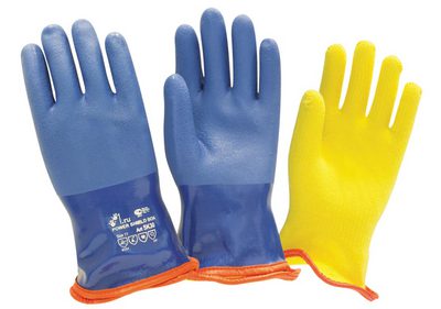 Winter Power Shield