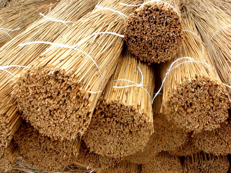 Органическая теплоизоляция стен: камыш.