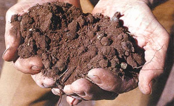 Органическая теплоизоляция стен: торф.